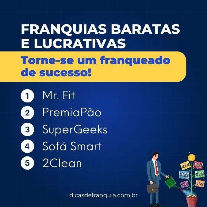 FRANQUEADO DE SUCESSO SUPORTE SMART